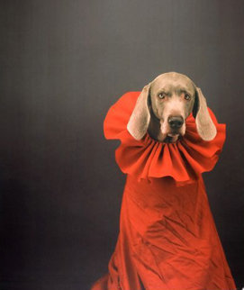 So Watteau 1999 Photography - William Wegman So Watteau 1999 Photography - William Wegman