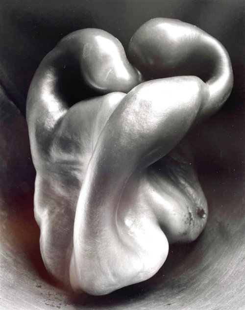 Pepper #30 1930 HS Photography by Edward Weston