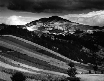 Guatemala Landscape 1955 Mural Portfolio Photography - Brett Weston Guatemala Landscape 1955 Mural Portfolio Photography - Brett Weston
