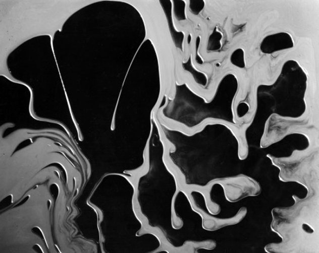 Abstraction 1955 Photography by Brett Weston