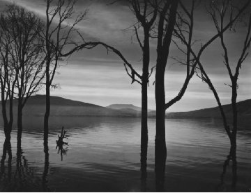 Lake Patzcuaro, Mexico Unique 1973 30x33 Photography - Brett Weston Lake Patzcuaro, Mexico Unique 1973 30x33 Photography - Brett Weston