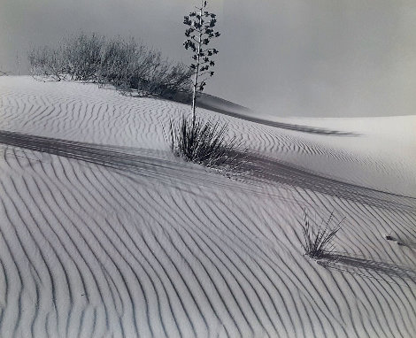 White Sands 1946 Limited Edition Print - Brett Weston
