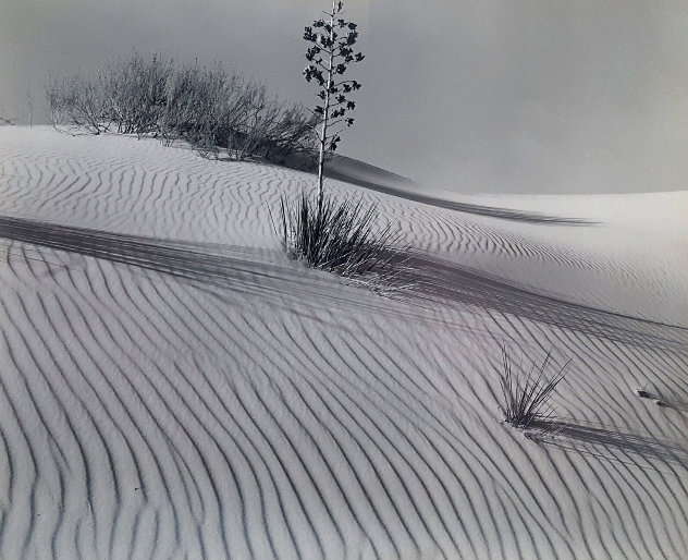 White Sands 1946 Limited Edition Print by Brett Weston