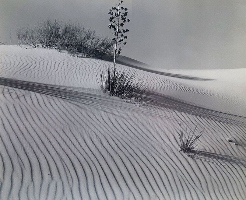 yタイトル「Early s」Gary Fenske作　冬の風景 絵画 yタイトル「Early s」Gary Fenske作 冬の風景 絵画 yタイトル