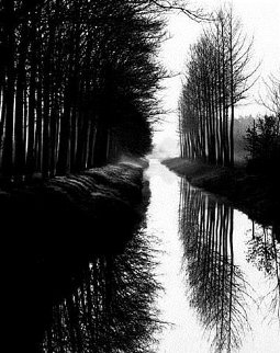 Holland Canal 1983 Limited Edition Print - Brett Weston Holland Canal 1983 Limited Edition Print - Brett Weston