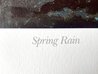 Spring Rain 1985 Limited Edition Print by Olaf Wieghorst - 3