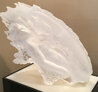Dream Fragment I - Acrylic Sculpture 1988 18 in Sculpture by Michael Wilkinson - 1