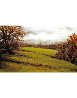 Irish Landscape 2005 Limited Edition Print by Ronnie Wood (Rolling Stones) - 2