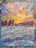 Sunset in the Country 2020 16x12 Original Painting by Linda Woolven - 1