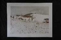 Fence Line 1976 Limited Edition Print by Andrew Wyeth - 1 Fence Line 1976 Limited Edition Print by Andrew Wyeth - 1