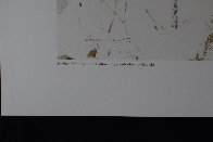 Fence Line 1976 Limited Edition Print by Andrew Wyeth - 3 Fence Line 1976 Limited Edition Print by Andrew Wyeth - 3