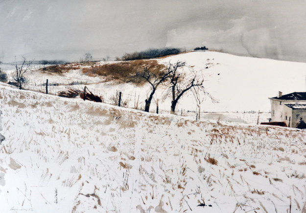 Fence Line 1976 Limited Edition Print - Andrew Wyeth