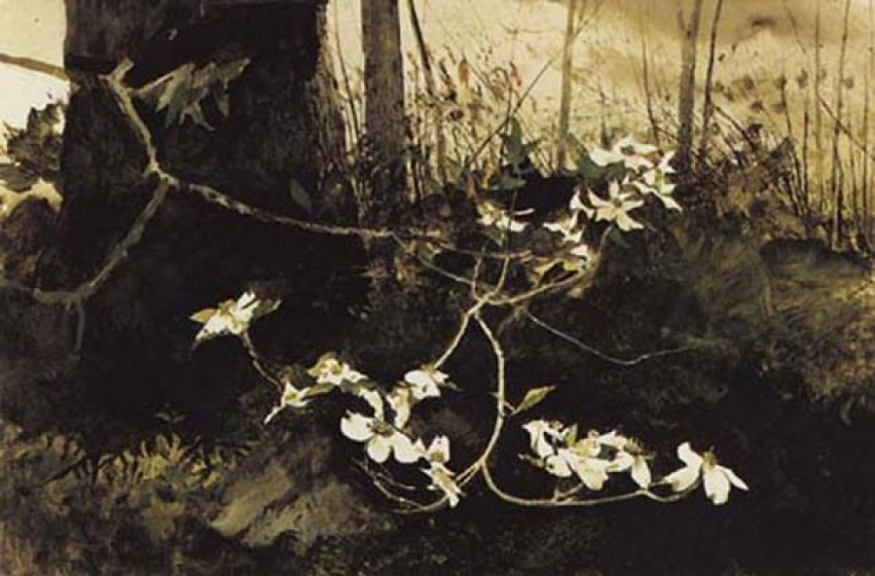 Dogwood 1982 HS Limited Edition Print by Andrew Wyeth