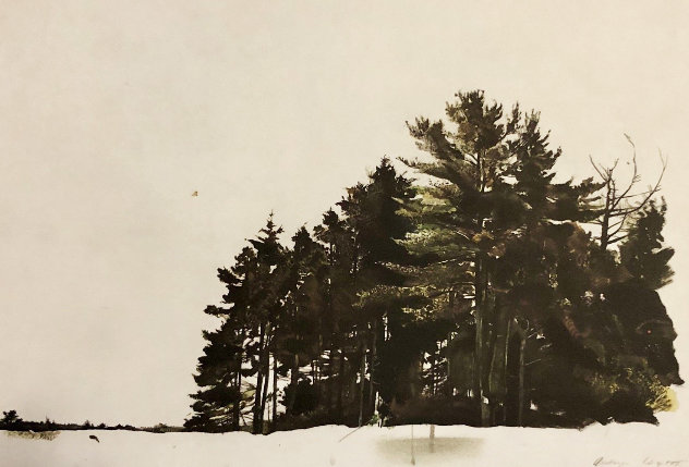 St. George’s Pines 1967 HS Limited Edition Print by Andrew Wyeth