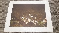 May Day 1962 HS Bookplate Limited Edition Print by Andrew Wyeth - 1