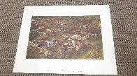 Quaker Ladies 1962 HS Bookplate Limited Edition Print by Andrew Wyeth - 1