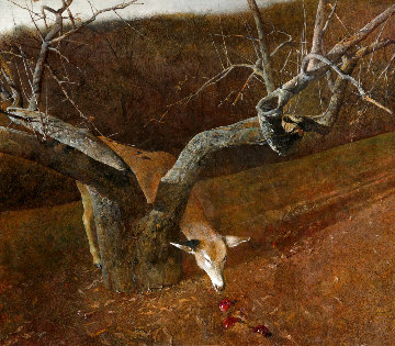 Jacklight 1982 HS Limited Edition Print - Andrew Wyeth Jacklight 1982 HS Limited Edition Print - Andrew Wyeth