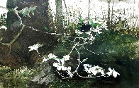 Dogwood 1983 HS Limited Edition Print by Andrew Wyeth - 0