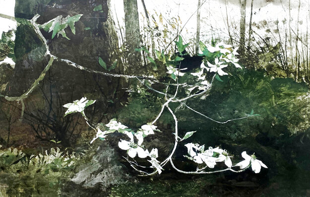 Dogwood 1983 HS Limited Edition Print - Andrew Wyeth