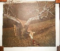 Jacklight 1981 Limited Edition Print by Andrew Wyeth - 1