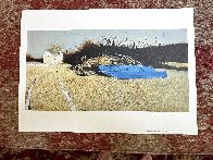 Flood Plan 1974 HS Limited Edition Print by Andrew Wyeth - 2