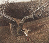 Jacklight 1982 HS - Huge Limited Edition Print by Andrew Wyeth - 0
