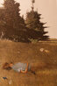 Distant Thunder 1980 HS Limited Edition Print by Andrew Wyeth - 2