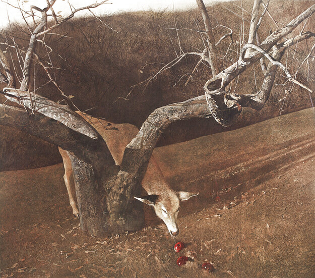 Andrew Wyethの直筆サイン入りリトグラフ「Jacklight」 Jacklight 1982 Limited Edition Collotype by Andrew Wyeth