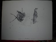 Four Seasons Portfolio, Suite of 12 1961 HS Limited Edition Print by Andrew Wyeth - 24 Four Seasons Portfolio, Suite of 12 1961 HS Limited Edition Print by Andrew Wyeth - 24