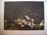Four Seasons Portfolio, Suite of 12 1961 HS Limited Edition Print by Andrew Wyeth - 12 Four Seasons Portfolio, Suite of 12 1961 HS Limited Edition Print by Andrew Wyeth - 12