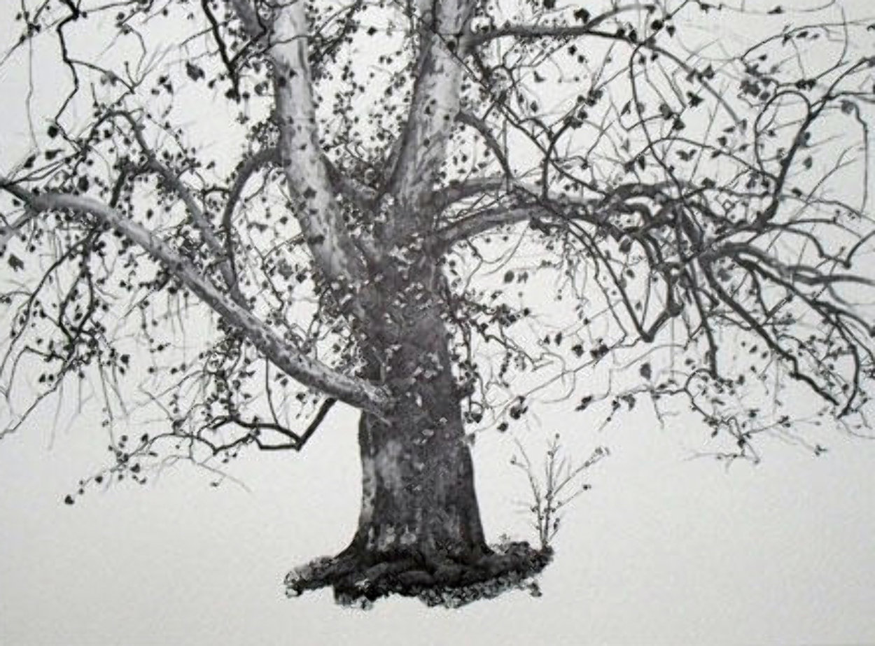 Four Seasons Portfolio, Suite of 12 1961 HS Limited Edition Print by Andrew Wyeth Four Seasons Portfolio, Suite of 12 1961 HS Limited Edition Print by Andrew Wyeth