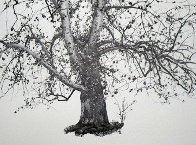 Four Seasons Portfolio, Suite of 12 1961 HS Limited Edition Print by Andrew Wyeth - 0 Four Seasons Portfolio, Suite of 12 1961 HS Limited Edition Print by Andrew Wyeth - 0