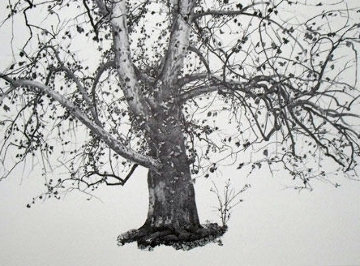 Four Seasons Portfolio, Suite of 12 1961 Limited Edition Print - Andrew Wyeth Four Seasons Portfolio, Suite of 12 1961 Limited Edition Print - Andrew Wyeth