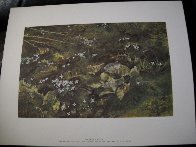 Four Seasons Portfolio, Suite of 12 1961 HS Limited Edition Print by Andrew Wyeth - 25 Four Seasons Portfolio, Suite of 12 1961 HS Limited Edition Print by Andrew Wyeth - 25