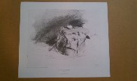 Drawings Portfolio, Set of 10 Collotypes HS Limited Edition Print by Andrew Wyeth - 18