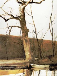 Cold Spring 1977 HS Limited Edition Print - Andrew Wyeth