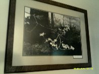 Dogwood 1983 HS Limited Edition Print by Andrew Wyeth - 1 Dogwood 1983 HS Limited Edition Print by Andrew Wyeth - 1
