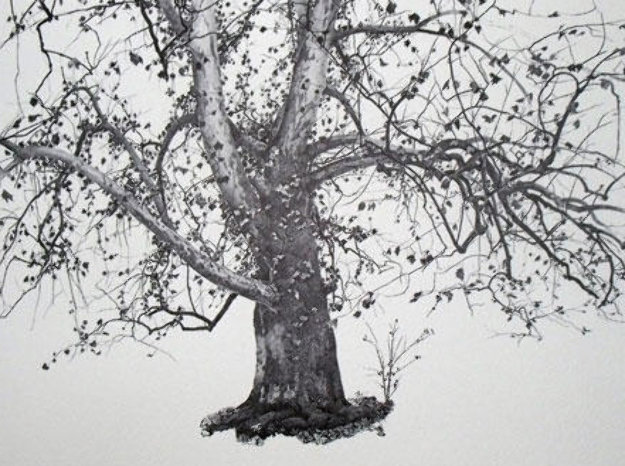 Four Season Portfolio of 12 Collotypes Limited Edition Print by Andrew Wyeth Four Season Portfolio of 12 Collotypes Limited Edition Print by Andrew Wyeth