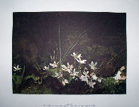 Four Season Portfolio of 12 Collotypes Limited Edition Print by Andrew Wyeth - 2 Four Season Portfolio of 12 Collotypes Limited Edition Print by Andrew Wyeth - 2