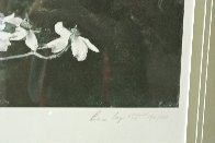 Dogwood 1983 HS Limited Edition Print by Andrew Wyeth - 2 Dogwood 1983 HS Limited Edition Print by Andrew Wyeth - 2