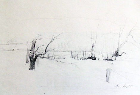 Study of River Valley Drawing - Andrew Wyeth