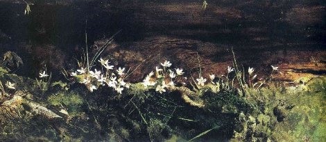 May Day  1960 Limited Edition Print - Andrew Wyeth