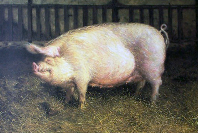 Portrait Of A Pig Limited Edition Print by Jamie Wyeth