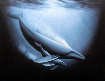 Celebration of the Sea AP 1989 Remarque Limited Edition Print - Robert Wyland