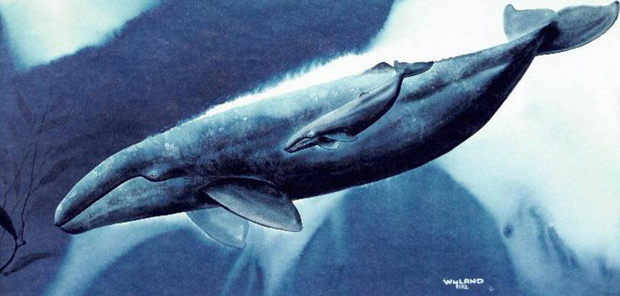 Humpback Whale Family 1984 Limited Edition Print by Robert Wyland Humpback Whale Family 1984 Limited Edition Print by Robert Wyland