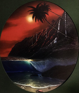 Warm Tropical Paradise 2002 Limited Edition Print - Robert Wyland Warm Tropical Paradise 2002 Limited Edition Print - Robert Wyland