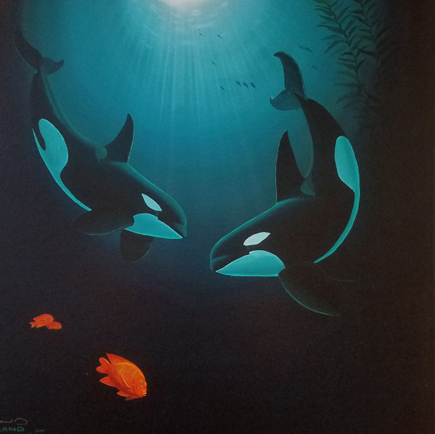 In the Company of Orcas Limited Edition Print by Robert Wyland