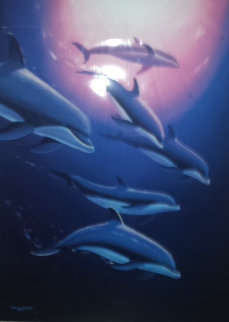 Dolphin Tribe 1995 Limited Edition Print - Robert Wyland Dolphin Tribe 1995 Limited Edition Print - Robert Wyland
