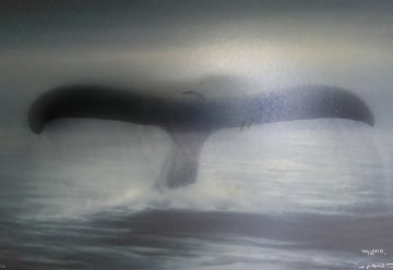 Tails of Great Whales 1989 30x40 Original Painting - Robert Wyland Tails of Great Whales 1989 30x40 Original Painting - Robert Wyland