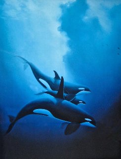 Orca Trio AP 1986 Limited Edition Print - Robert Wyland Orca Trio AP 1986 Limited Edition Print - Robert Wyland